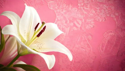 A beautiful white lily against a textured pink background, highlighting nature's elegance.