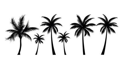 Obraz premium Palm tree silhouette vector illustration isolated on white backgroun