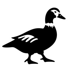 icon, vector silhouette of Muscovy duck