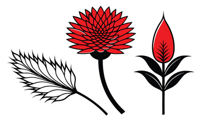 Vibrant tritoma and red hot poker flowers with tubular florets