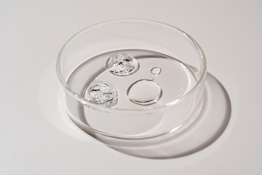 Transparent petri dish with liquid bubbles
