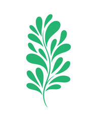 Botanical Minimalist Vector Art, Wall art print set. minimalist style, floral, botanical wall decor. Poster, postcard, cover, banner