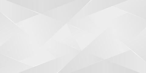 Abstract white and gray background. smooth abstract background, blurred pattern. Light pale vector background. Abstract pale geometric pattern eps 10