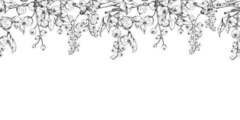 Currant gooseberry clusters with leaves on branch, ripe berry juneberry casseille jostaberry, hand drawn in vector ink. Isolated seamless banner border for dessert menu, eco farmers market, gardening