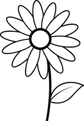 Daisy Vector Sketch for Floral Artwork