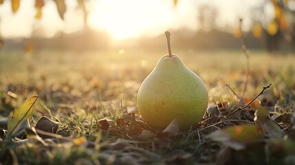 A single pear resting on the grass with sunlight in the background