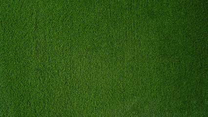 Green grass background, top view background of garden bright grass concept.