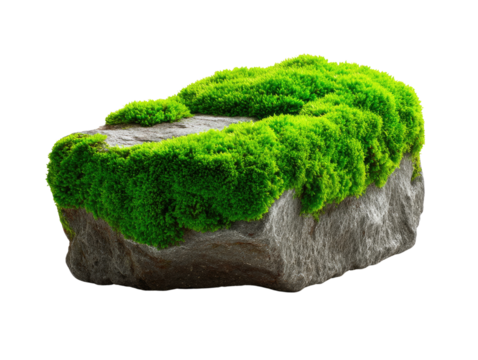 Moss-covered Rock: A close-up shot showcases a weathered rock formation, generously blanketed by vibrant green moss, evoking a sense of natural resilience and the slow embrace of time.