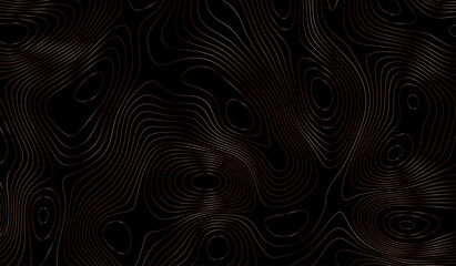 Abstract topographic map pattern, seamless black and white design, perfect for backgrounds or textures.
contour topographic wave nature curve geography.