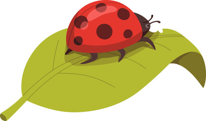 Ladybug Cartoon Illustration