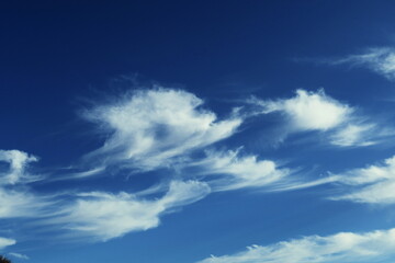 Ciel bleu avec nuages blancs.