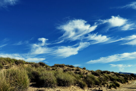 Fototapeta Colline, ciel bleu nuageux.