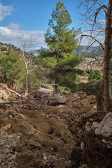 destruction in nature after the natural disaster of Dana