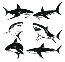 Shark vector silhouettes set. Monochrome illustration of stylized shark. isolated on white background