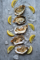 open oysters and lemons on the table