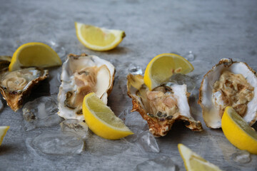 open oysters and lemons on the table