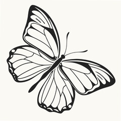 A minimalist black and white butterfly