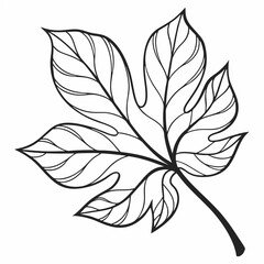 Stylized Black and White Fig Leaf Illustration