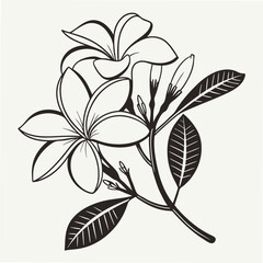 Stylized Black and White Fig Leaf Illustration