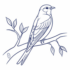 vector illustration of a bird