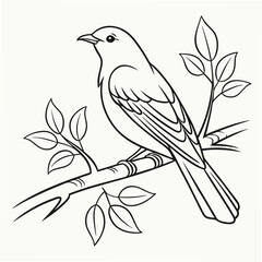 vector illustration of a bird