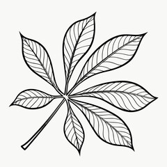 black and white flower vector
