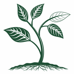 vector illustration of a tree