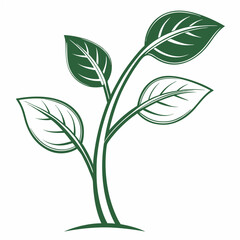 vector illustration of a plant