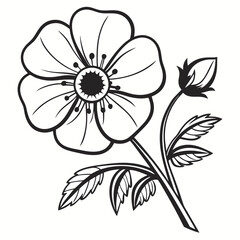 vector illustration of a flower