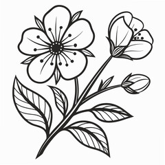 black and white flowers