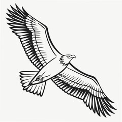 vector illustration of an eagle