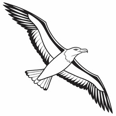 vector illustration of a flying bird