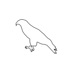 Eagle outline vector illustration, featuring a majestic bird of prey in side profile. Editable EPS for wildlife, nature, and graphic design use.