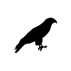 Eagle silhouette vector illustration, featuring a majestic bird of prey in side profile. Editable EPS for wildlife, nature, and graphic design use.