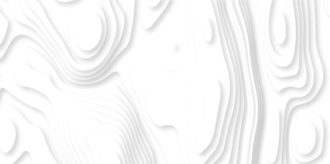 Abstract white paper cut background with lines. Background of the topographic map. White wave paper curved reliefs abstract background. Realistic papercut decoration textured with wavy layers.