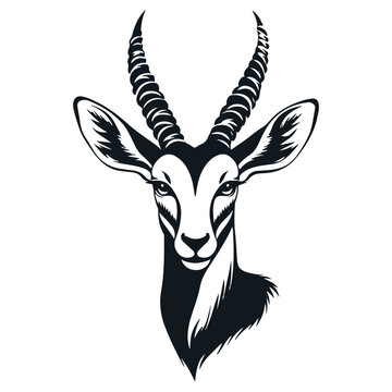 gazelle, animal, vector, transparent background, wildlife, mammal, nature, cute, antelope, zoo, isolated, farm, herbivore, springbok