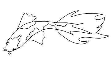 Основные RGB 
Vector image of Koi carp fish in doodle style.