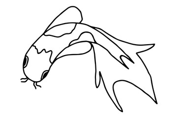 Основные RGB 
Vector image of Koi carp fish in doodle style.