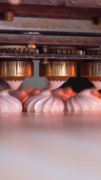 Food sweety conveyor line. Industrial tasty marshmallow conveyor. Vertical video