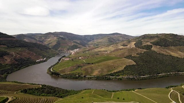 Aerial View of Terraced Vineyards in Douro Valley, Portugal