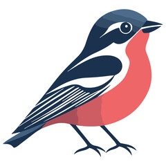 Obraz premium robin, erithacus rubecula, animal, vector, transparent background, beak, bird, nature, isolated, wildlife, feather, birds, feathers, cute, twitter, wing