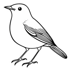 Obraz premium robin, erithacus rubecula, animal, vector, transparent background, beak, bird, nature, isolated, wildlife, feather, birds, feathers, cute, twitter, wing