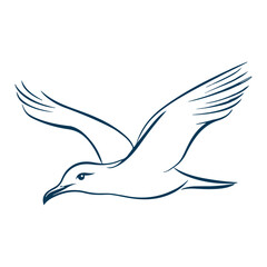 Obraz premium seagull, animal, vector, transparent background, wing, feather, freedom, wildlife, beak, nature, cute, isolated, sea gull, wings