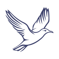 Fototapeta premium seagull, animal, vector, transparent background, wing, feather, freedom, wildlife, beak, nature, cute, isolated, sea gull, wings