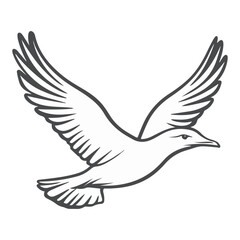 Obraz premium seagull, animal, vector, transparent background, wing, feather, freedom, wildlife, beak, nature, cute, isolated, sea gull, wings