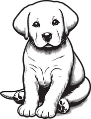 Fototapeta premium Cute labrador retriever puppy sitting image vector