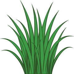 green grass design vector illustration 