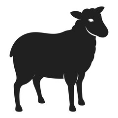 black sheep isolated on white