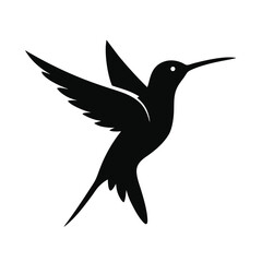 hummingbird vector illustration