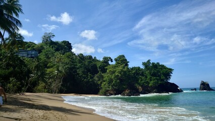 tropical beach with palm trees